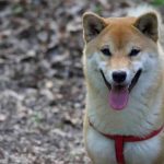 490343743_1257099349752622_5315775138329102809_n