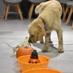 493403478_1268643535264870_7279516650513114939_n