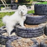 500526561_1298891388906751_932973119103143169_n